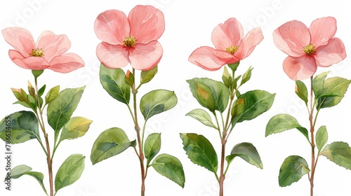 Wallpaper Mural   A watercolor painting of pink flowers with green leaves against a pristine white background Torontodigital.ca