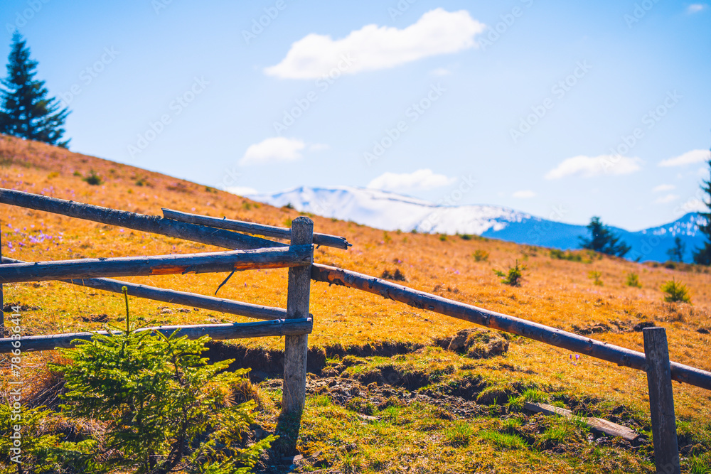 Fototapeta premium a fence for sheep on a pasture in the mountains among the woods 