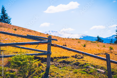 a fence for sheep on a pasture in the mountains among the woods 