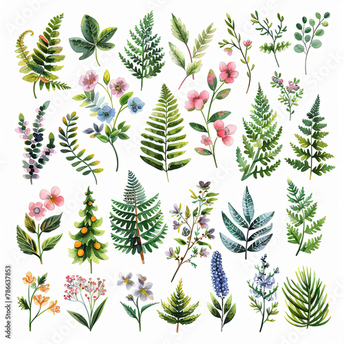 Vibrant watercolor clipart featuring fern bouquets, single flowers, and elements, perfect for invitations, stationery, and botanical designs.