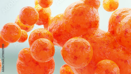 Canvas Print Fat cells, adipocyte and lipocyte, cholesterol in a cells, White fat cells conta