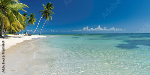 Beautiful tropical scenery with azure sea and sandy beach palm trees and clear sky, wild beach © Alina Zavhorodnii