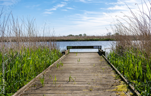 Wooden fishing stage in the reeds on the Bure River in the Norfolk Broads National Park