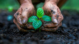 Symbol of Conservation. Hands Planting Sapling