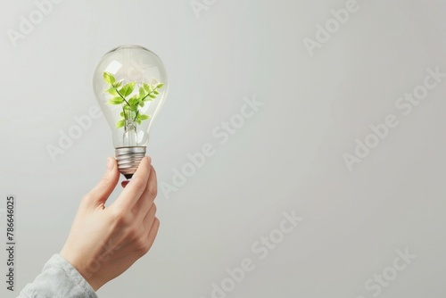 Hand holding a light bulb with a green plant inside, concept of environmental preservation, sustainability.
