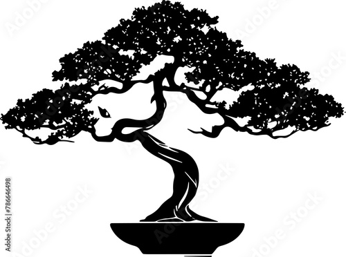 Bonsai tree icon isolated on white background 