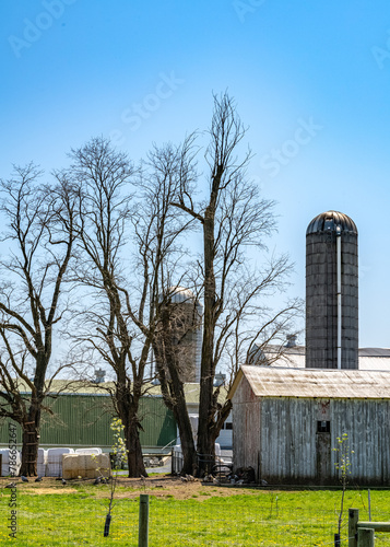 Classic Amish farmstead with a large barn and silo standing on a sprouting spring field under a clear blue sky in Lancaster, Pennsylvania. High quality photo. PA US North America