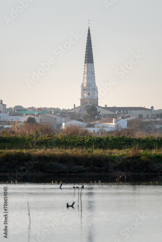 Ars en ré church steeple in the ile de ré salt marshes. Ile de Ré island in France