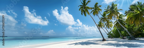 Palm trees on the beach on a tropical island in the Maldives