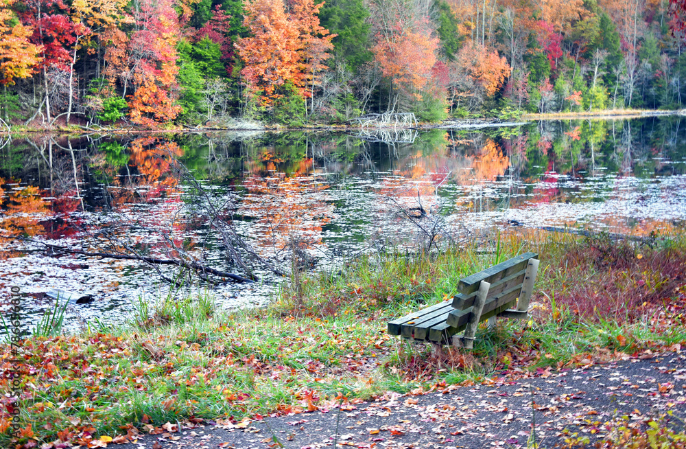 Bench With View of Autumn Foliage