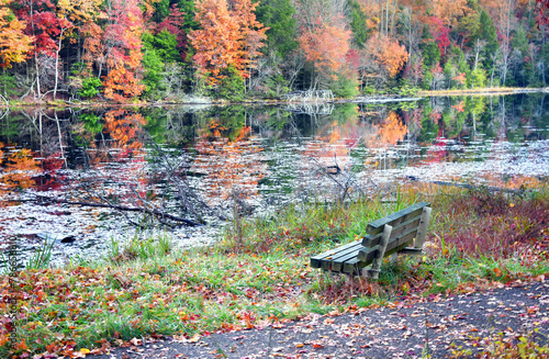 Bench With View of Autumn Foliage