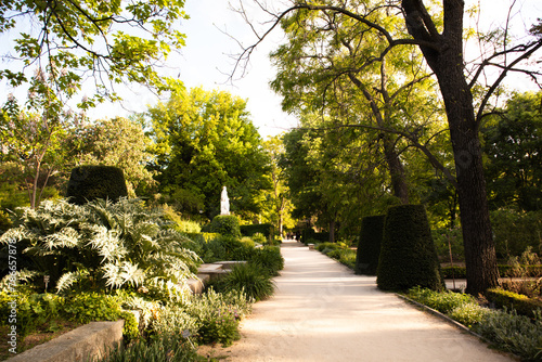 Fototapeta Naklejka Na Ścianę i Meble -  Straight road path goes into a distance in spring garden. Green trees and trimmed bushes. Tropical landscape. Botanical gardens park nature in daytime