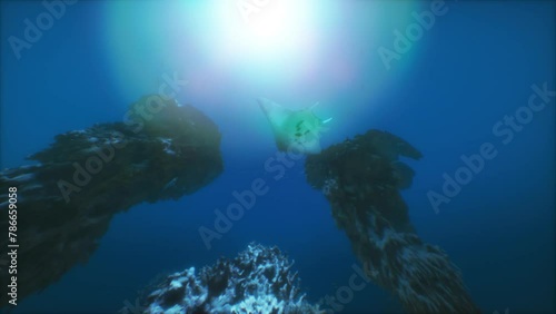 Wallpaper Mural Majestic Manta Ray Gliding Through Vibrant Coral Reefs Torontodigital.ca