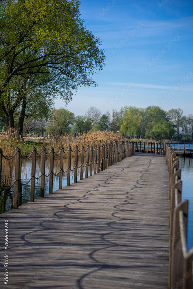 Fototapeta premium 01.05.2024 - Przylasek Rusiecki. Kraków. Polska. Piękna słoneczna aura która sprzyja odpoczynkowi. Wejście na most pływający.