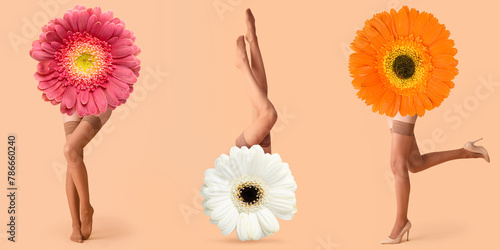 Collage with gerbera flower...