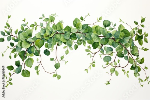 A detailed watercolor illustration of green leaves and vines on a white background, artistic flora.