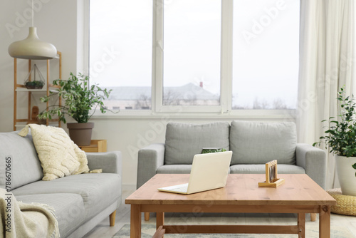 Interior of beautiful living room with comfortable sofas  houseplants  shelving unit and table with laptop