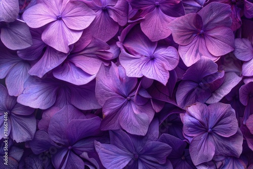 Close up of a bunch of purple flowers. Perfect for floral backgrounds © Fotograf