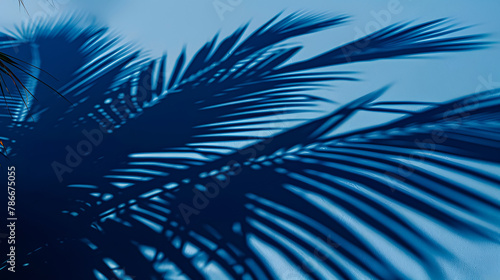 Shadow of some palm trees reflecting on a blue wall - copy space