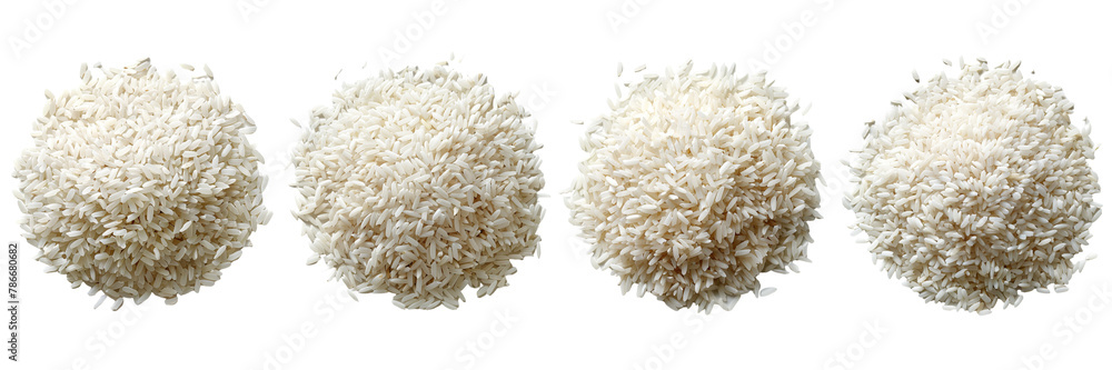 Set of a rice a in the out line underneath, on a transparent background