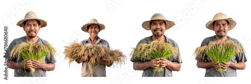  Set of a farmer holding a pile of paddy rice on a transparent background