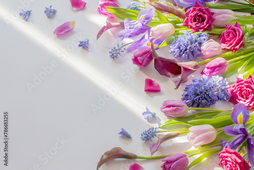 beautiful spring flowers on white background