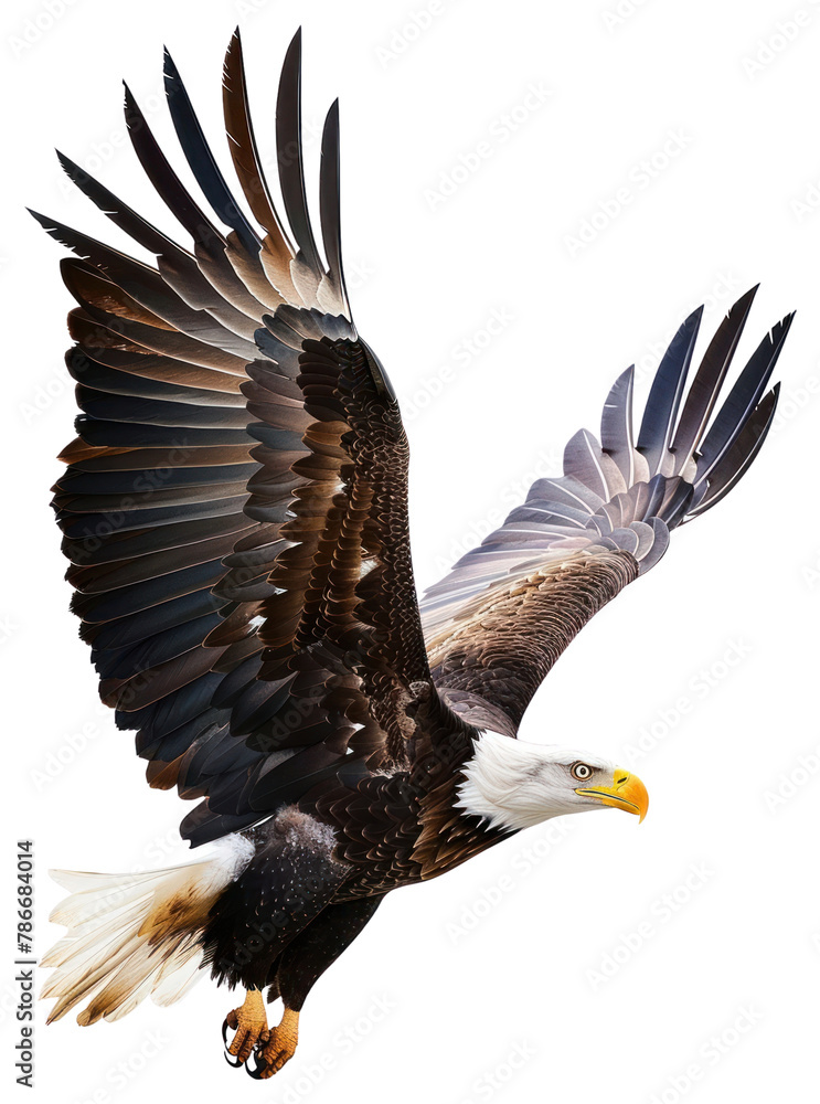 PNG Animal flying eagle bird PNG Animal flying eagle bird