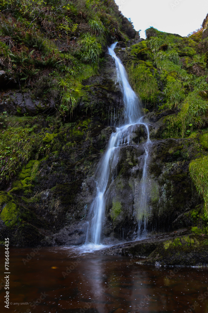 waterfall in the forest