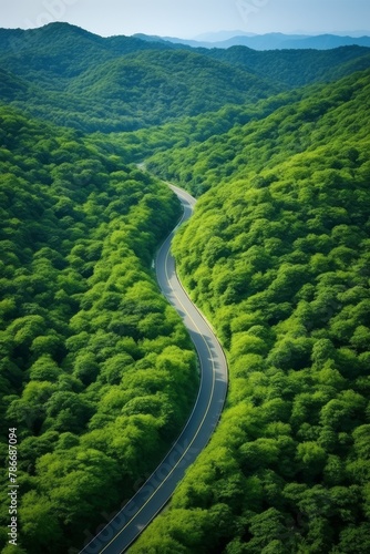 road among the forests bird's eye view Generative AI