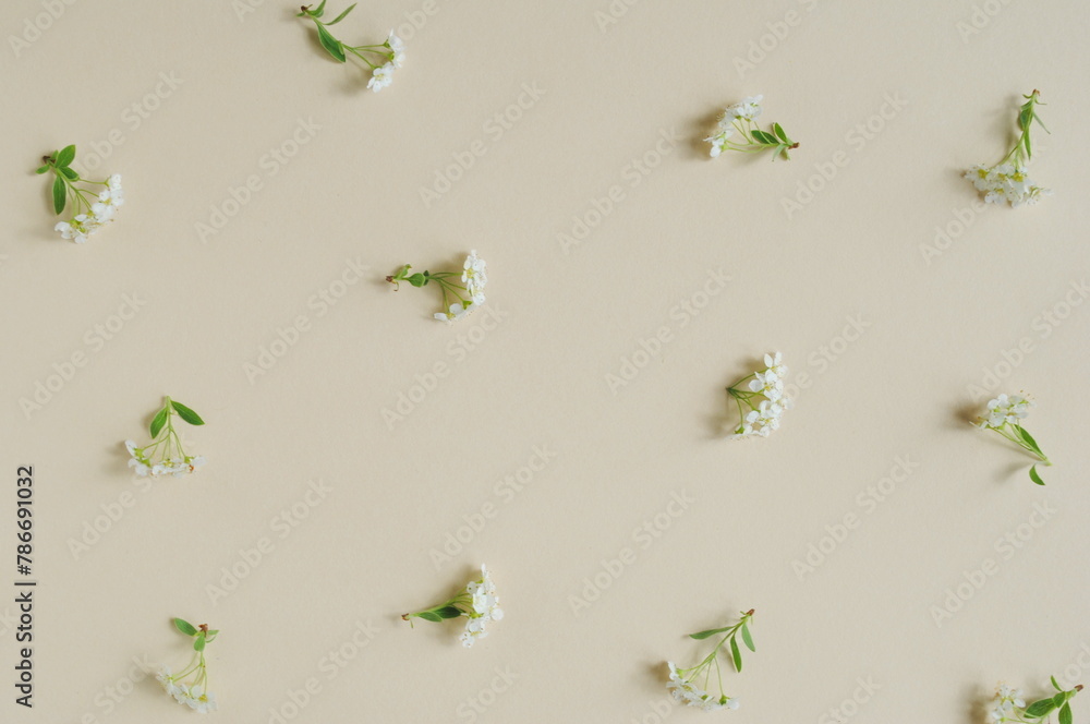 Fototapeta premium Spring, concept. White flowers on a beige, pastel background. Background, top view, copy, texture.