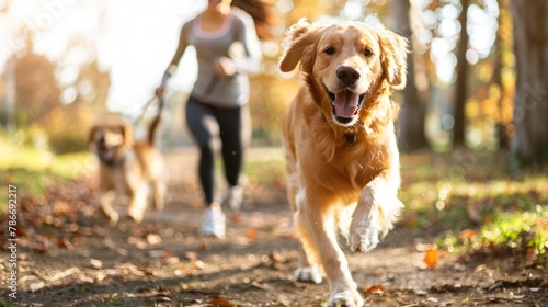 A happy running Golden retriever dog with the owner at park in the morning sunrise.