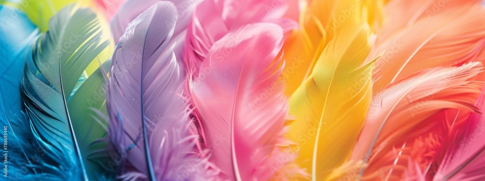 Rainbow colorful feathers background. Rainbow colorful feathers background.