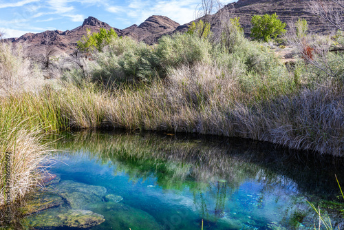 Point of Rocks Spring in Ash Meadows National Wildlife Refuge near Death Valley National Park, Las Vegas, and Pahrump, Nevada