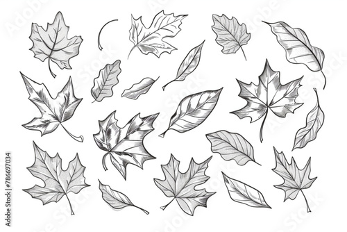 Leaf wind doodle line sketch set. Hand drawn doodle wind motion  air blow  leaf falling elements. Sketch drawn air weather  autumn falling concept. Isolated vector illustration vector icon  white back