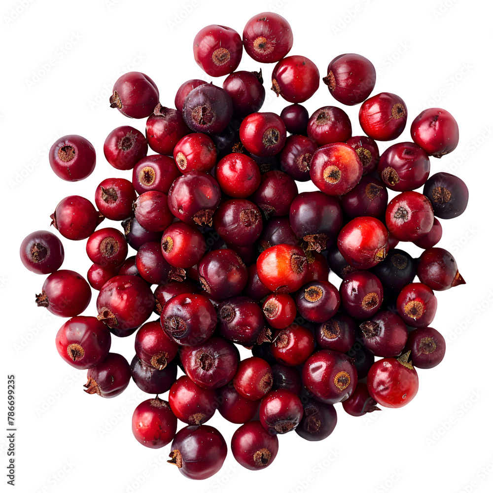 A detailed image of fresh toyon berries, small and red, resembling tiny apples, isolated on a Transparent background, PNG Cutout A detailed image of fresh toyon berries, small and red, resembling tiny apples, isolated on a Transparent background, PNG Cutout