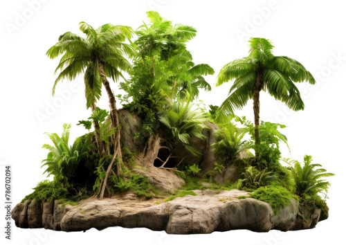 PNG Rainforest vegetation outdoors nature
