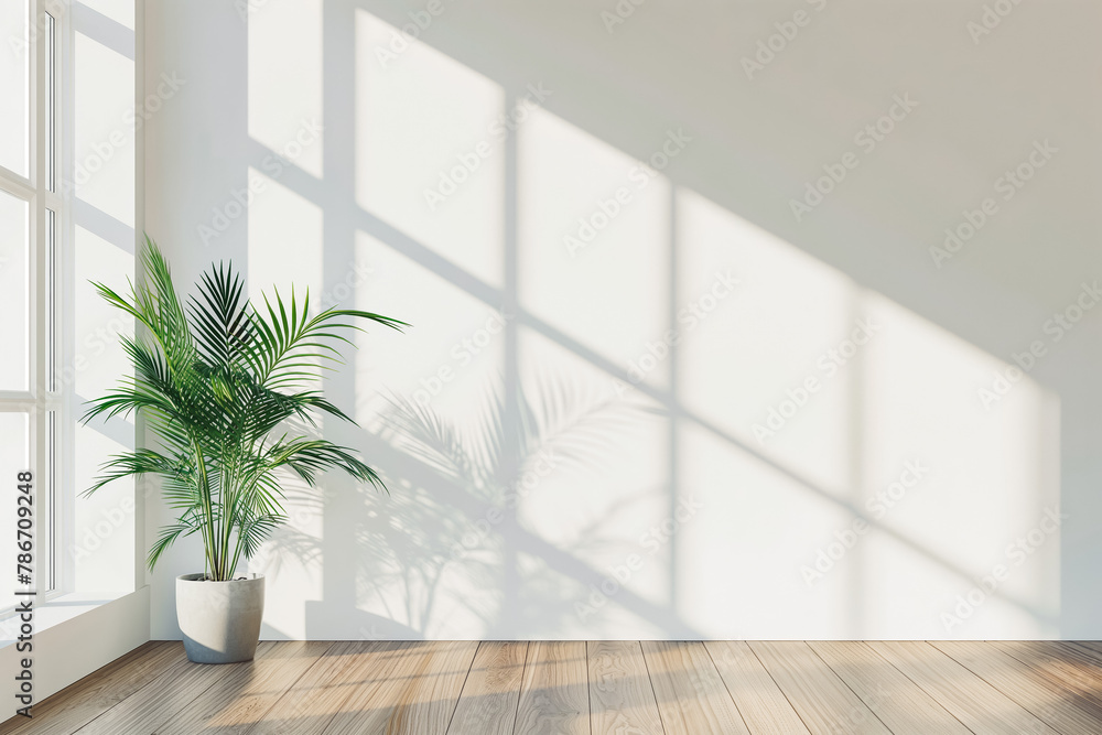 Modern interior mockup template. Light empty space with white wall, wooden floor and green potted plant. Sun rays entering into empty room from the window Modern interior mockup template. Light empty space with white wall, wooden floor and green potted plant. Sun rays entering into empty room from the window