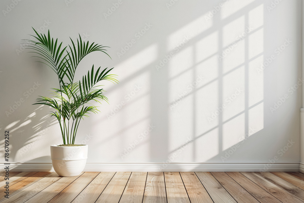 Modern interior mockup template. Light empty space with white wall, wooden floor and green potted plant. Sun rays entering into empty room from the window Modern interior mockup template. Light empty space with white wall, wooden floor and green potted plant. Sun rays entering into empty room from the window