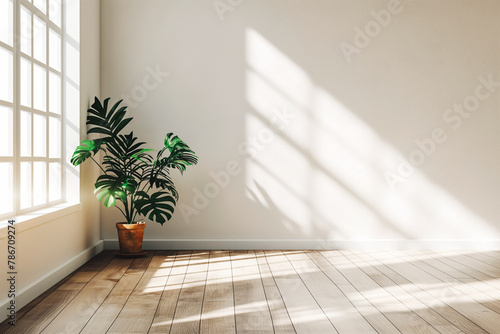 Modern interior mockup template. Light empty space with white wall, wooden floor and green potted plant. Sun rays entering into empty room from the window