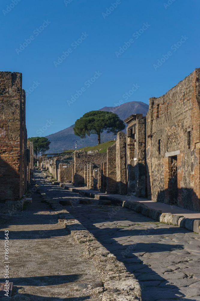 Naklejka premium Roman street on a sunny day through the Ruins of Pompeii, Campania, Italy