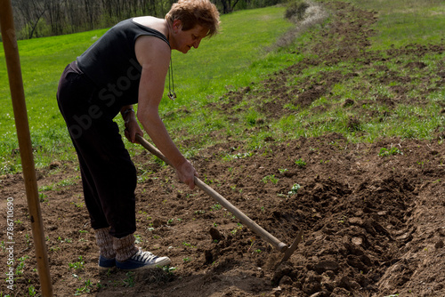 Farmer using a hoe to create a furrow in the soil on a field, preparing a hole for potato planting on a sunny spring day, an organic vegetable cultivation concept.