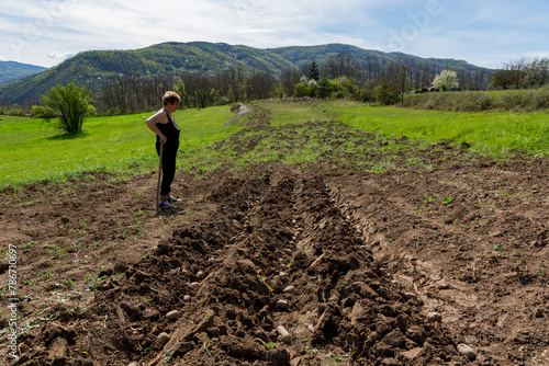 Female farmer leaning on a hoe, contentedly observing freshly planted potatoes in the furrows on a sunny spring day in the field, embodying the concept of organic farming