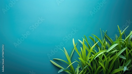 Fresh green grass against blue background with copy space