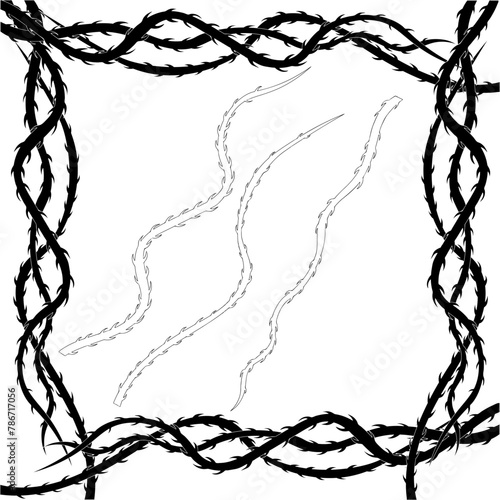 frame of thorny rose vines
