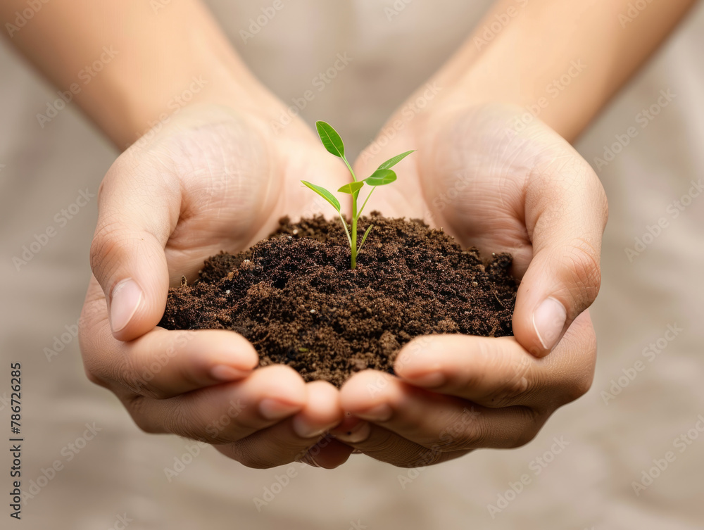 Minimalistic depiction of hands cupping a small mound of dirt with a sprout, symbolizing nurturing the planet Minimalistic depiction of hands cupping a small mound of dirt with a sprout, symbolizing nurturing the planet