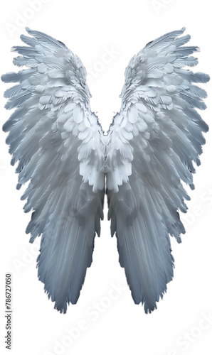 Large white wings of an angelic or celestial creature, isolated on a transparent white background. Template for placement on a body