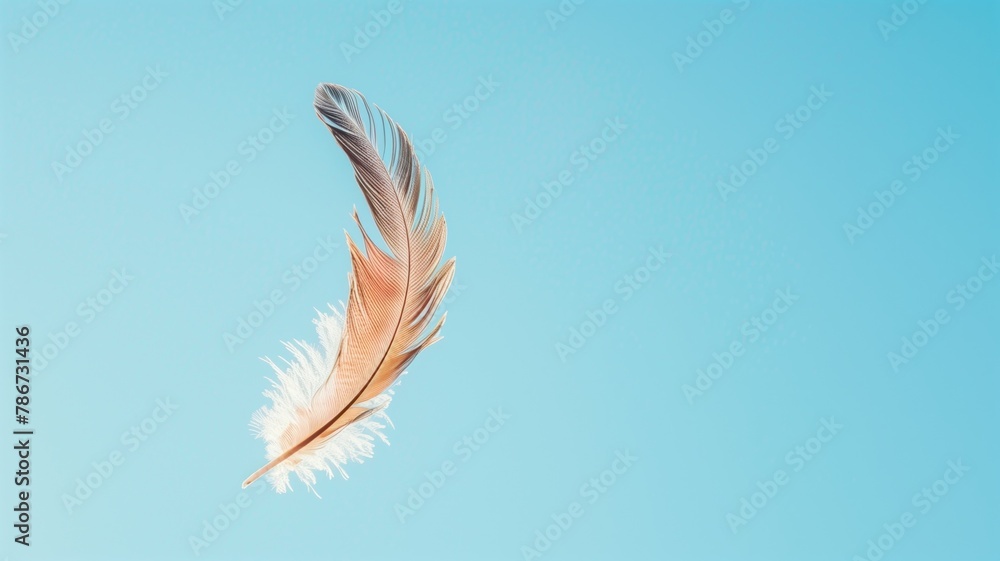 Single delicate feather floating against clear blue sky Single delicate feather floating against clear blue sky