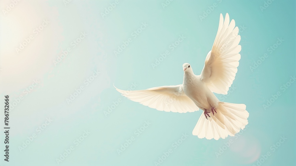 White dove in flight against soft blue background
