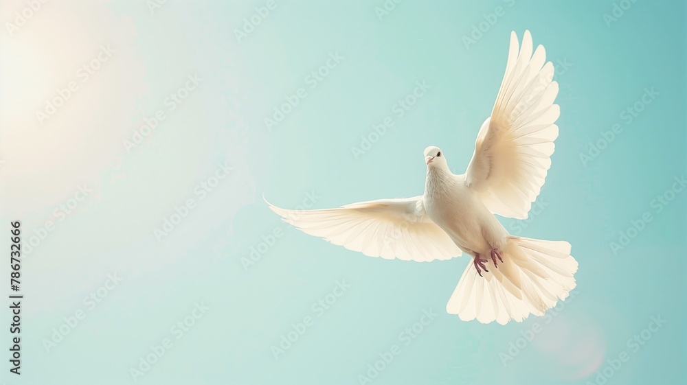 Fototapeta premium White dove in flight against soft blue background