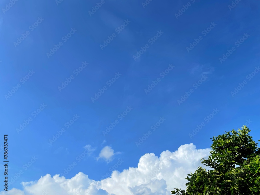 Obraz premium Summer blue sky cloud gradient light white background. Beauty clear cloudy in sunshine calm bright winter air bacground. Gloomy vivid cyan landscape in environment day horizon skyline view spring wind